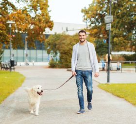 Dog Walking Manhattan Service and Pet Sitting Manhattan to Rely