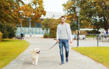 Dog Walking Manhattan Service and Pet Sitting Manhattan to Rely