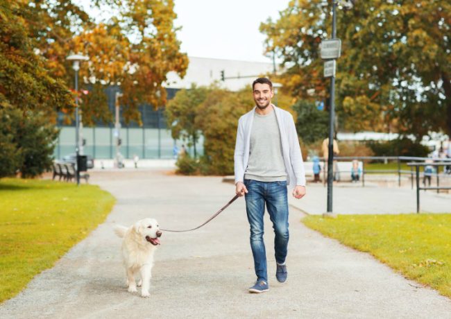 Dog Walking Manhattan Service and Pet Sitting Manhattan to Rely
