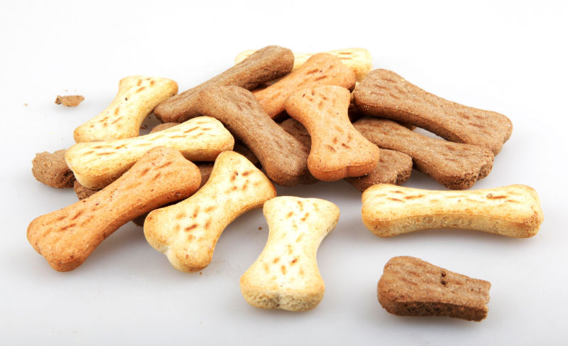 Happy Doggies: Benefits of Giving Your Dogs as Many Gifts as Possible