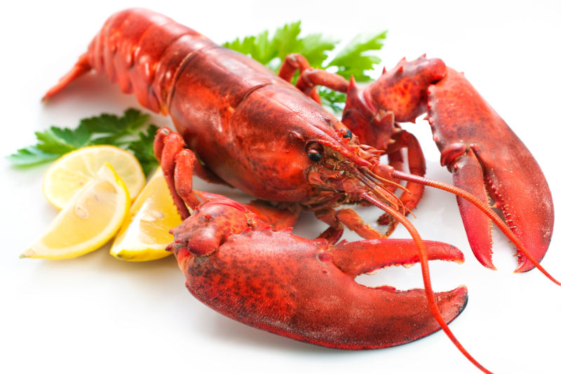 Top 3 Reasons to Consider Seafood Catering in Charleston, SC