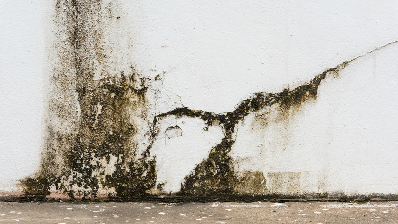 Things to consider Before Choosing a Fire or Water Restoration Company in Billings, MT