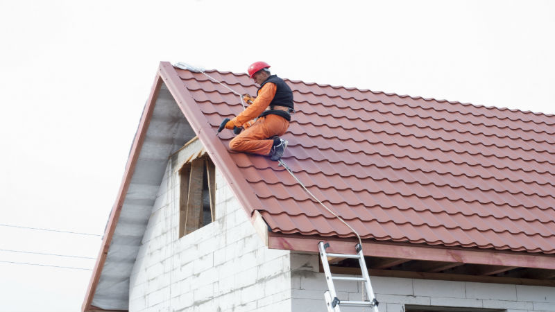 Top 3 Advantages of Using Professional Roof Cleaning in Puyallup, WA