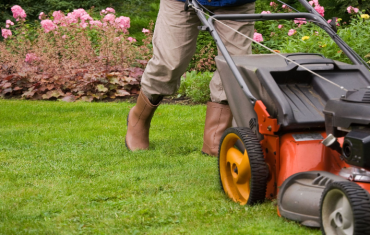 Finding the Best Mosquito Service in Jeffersonville, IN Can Help Your Lawn Become Pest-Free