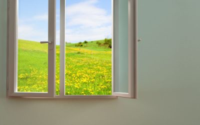 Transform curb appeal and comfort using modern windows in North Little Rock, AR homes
