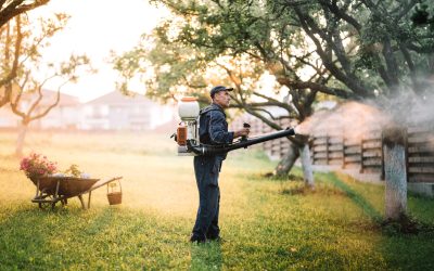 Reduce Maintenance Time in Gardens by Using Non-Selective Herbicides Effectively