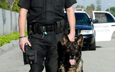 The Benefits Of Hiring A Private Security Guard In Los Angeles CA For Residential Areas