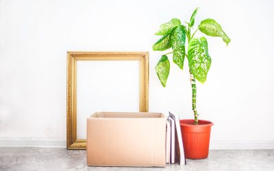 Empower Indian Communities as You Choose to Donate To Charity Online in India