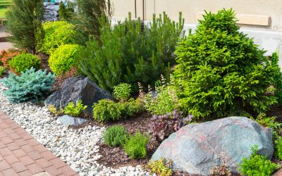 Personalize Your Yard With Help from a Landscape Contractor in Menifee CA