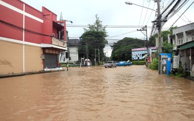 Quick Recovery Solutions With Water Damage Cleanup Services Carrollton, TX Residents Need