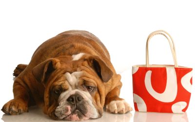 Unbox Joy Each Month with a Dog Subscription Box Packed for USA Pet Families