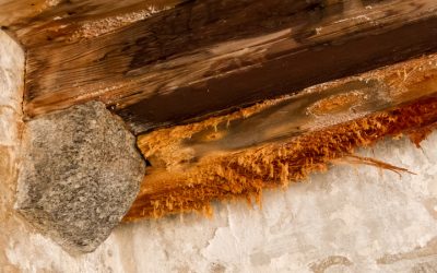 Fast Recovery From Floods Thanks to Water Damage Restoration in Lombard, IL